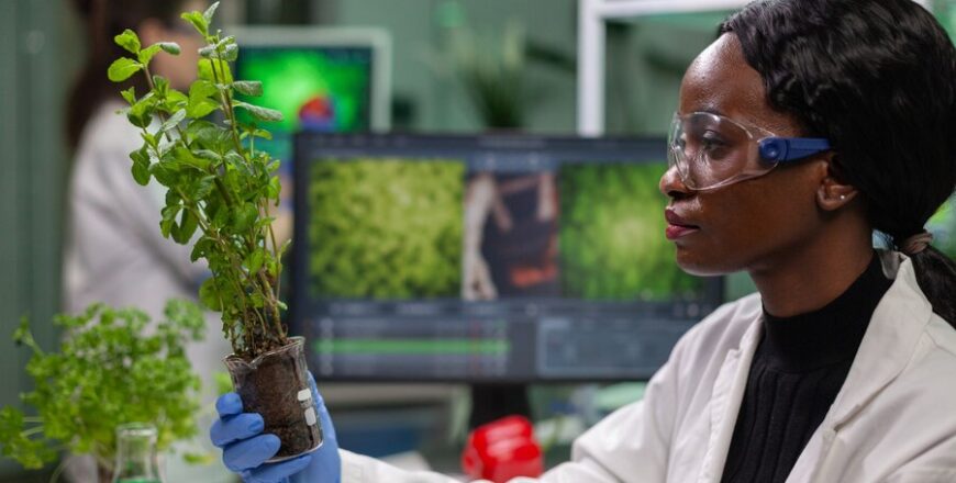 scientist-looking-green-sapling-medical-experiment_482257-21582 (1).jpg